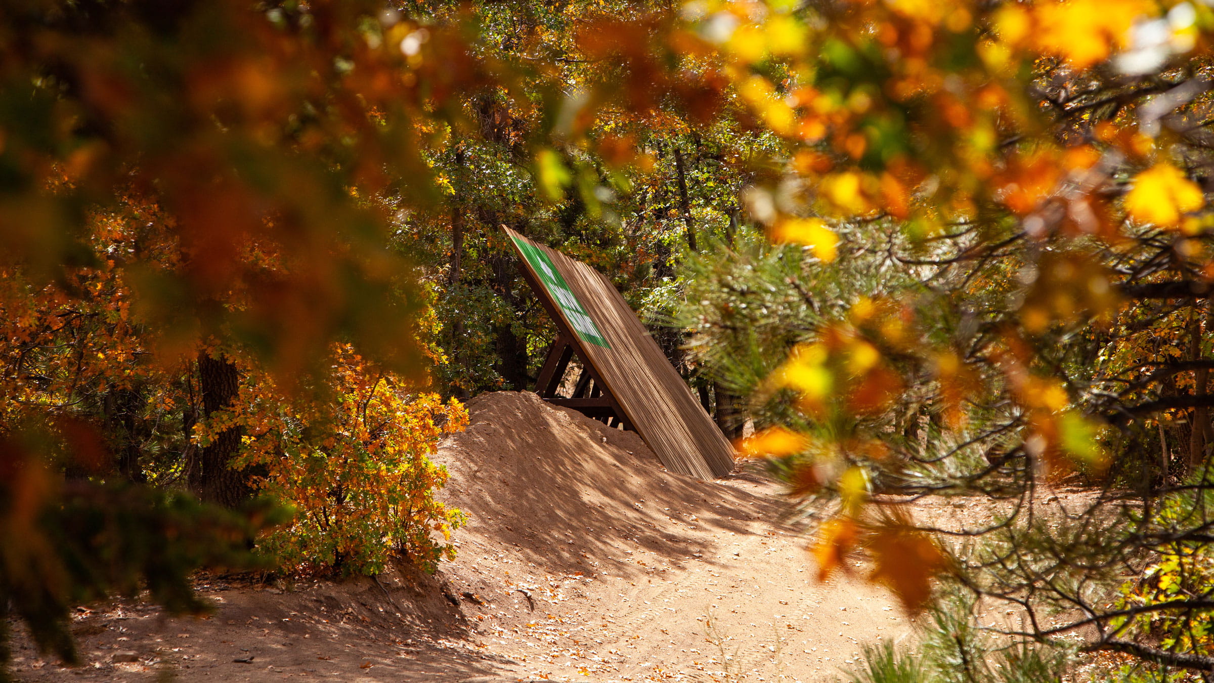 Fall colors at Snow Summit with bike park feature